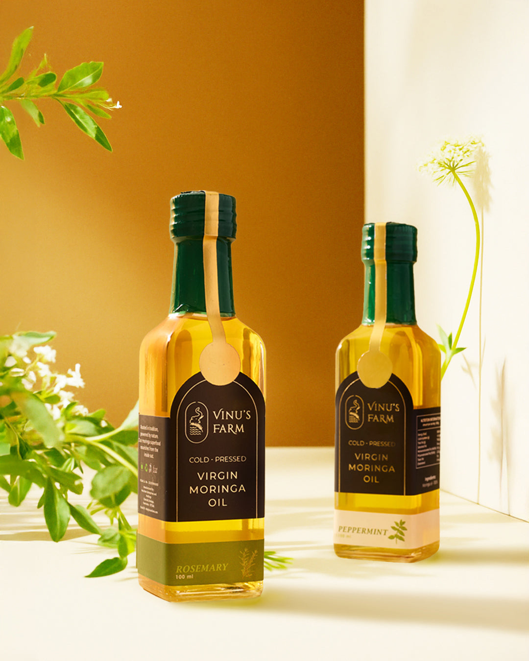 Infused Moringa Oil [100ml]
