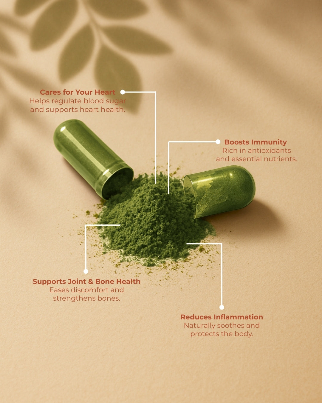 Moringa Leaf Capsule